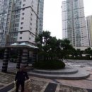 문무태권도체육관 이미지