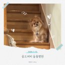 모리동물병원 이미지