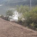 이상규공인중개사사무소 이미지