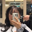 브라운 | 갈웜 염색추천 매트브라운 후기 / 금손 주아 스타일리스트님❣️