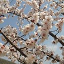 파주스타디움 이미지