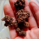 충영농장 이미지