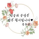 한일그래피니