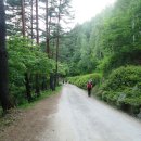 태백고원자연휴양림 이미지