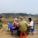 선산퇴비 이미지