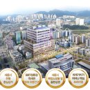세종MVG 이미지