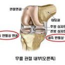 센터오브그래비티 이미지