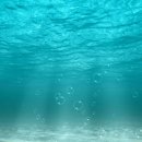 남광식당 이미지