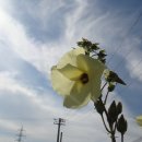 라하농장 이미지