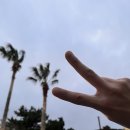 테라피하우스펜션 | 제주도 3박4일 여행코스 | 뚜벅이 렌트 혼합 일정 맛집 카페 스냅사진 온천 완벽 정리