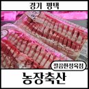 축산농장 | 평택 정육점 추천｜삼겹살 고기 상태 좋았던 농장축산