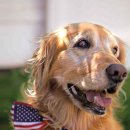 Bike Parade 이미지