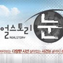 눈봄