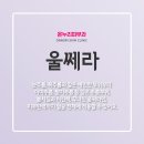 온누리피부과의원 이미지