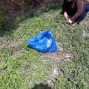 자연향기떡 이미지