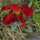 읽고 쓰고 셈하고 이미지