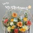 바이수 - 서초구 | 송파 꽃집 추천 ‘헬리오플라워바이수’ 꽃바구니 예약주문 후기