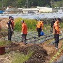 영동119안전센터 이미지