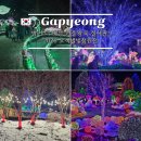 고요랑 | 가평 아침고요수목원 야간 개장 오색별빛정원전 입장료 후기