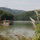 고삼호수로 이미지