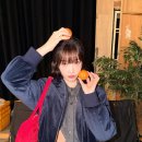 경도농장 이미지