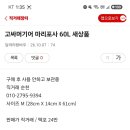 아래 힐레베르그 타프 사기꾼 *** **** **** 이미지