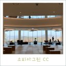 HI-PASS골프클리닉 | 11월 중순 소피아 그린 CC 라운딩 후기 (근처맛집 추천)