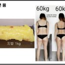 에스엘짐