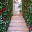 일성능수아파트(3차)1블럭 이미지