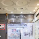 바덴뷰티 레푸스 이미지