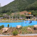 내미로리 이미지