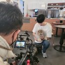 하남애견훈련소 이미지