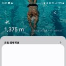 모른골지 이미지