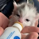 (주)엄지세상 이미지