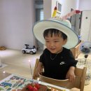 언제컷나 내시끼