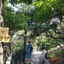 방화12(아) 이미지