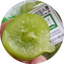 선팜하우스 이미지