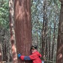 봉래산시름재 이미지