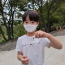 (주)은하수관광 네이버블로그