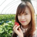 수희농장 이미지