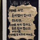 퍼피's 데이 | 왓츠인마이스윔백 🫧 : 수영 필수템과 꿀팁을 가득 담아