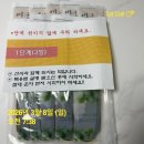 청춘약국 | 청춘약국 한약 다이어트 후기 | 50대 살은 이렇게 빼야 한다