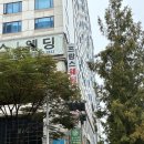 반헤어 | 분당메이크업 데일리 코랄 핑크 메이크업 &amp; 반묶음 헤어 후기