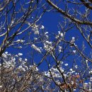 장계소재지구간 이미지