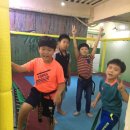 박사태양태권도장 이미지