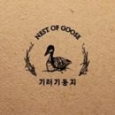 기러기둥지 성수