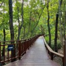 서리풀공원1-1 이미지