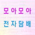 베이퍼스파주교하 이미지
