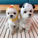 까망펜션 이미지