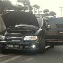 트라제1 이미지